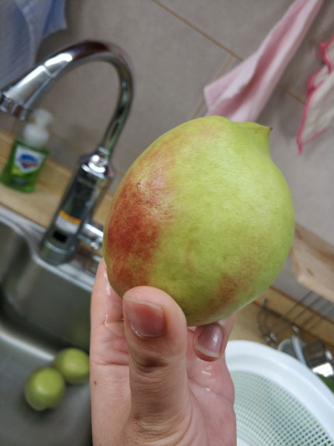 安檢設備工廠,娛樂活動,客戶的獎勵