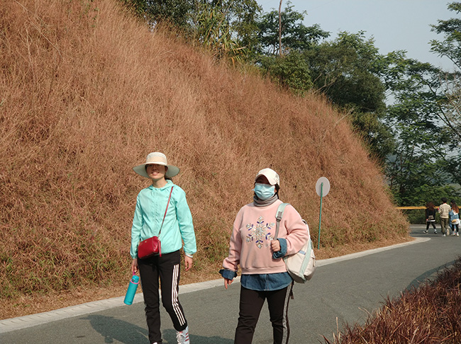 中安諧運營中心陽光山之旅