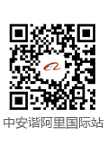 中安諧國際站