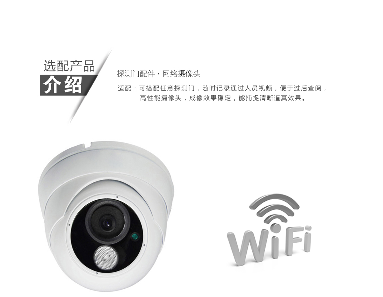 TD-800A,超值經濟款,定制,安檢門,金屬探測門,產品