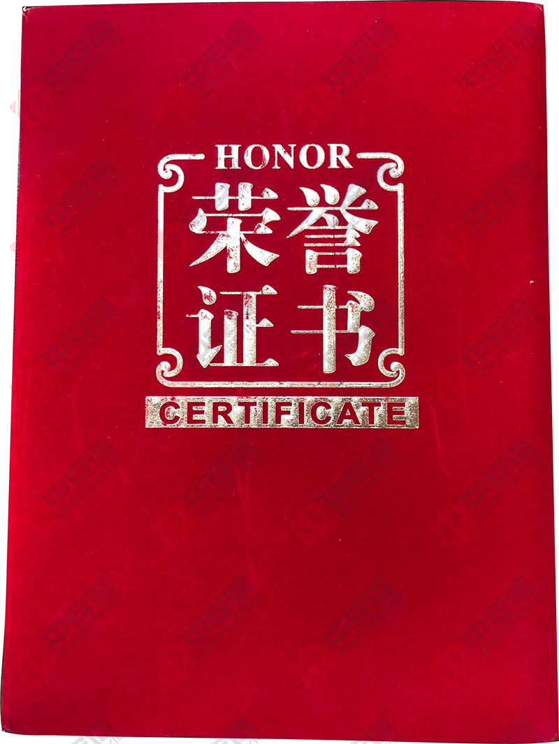 推薦產(chǎn)品獎,TD-800D,通過式金屬探測門,中安諧