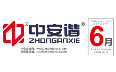 <b>中安諧2020年6月企業月報</b>